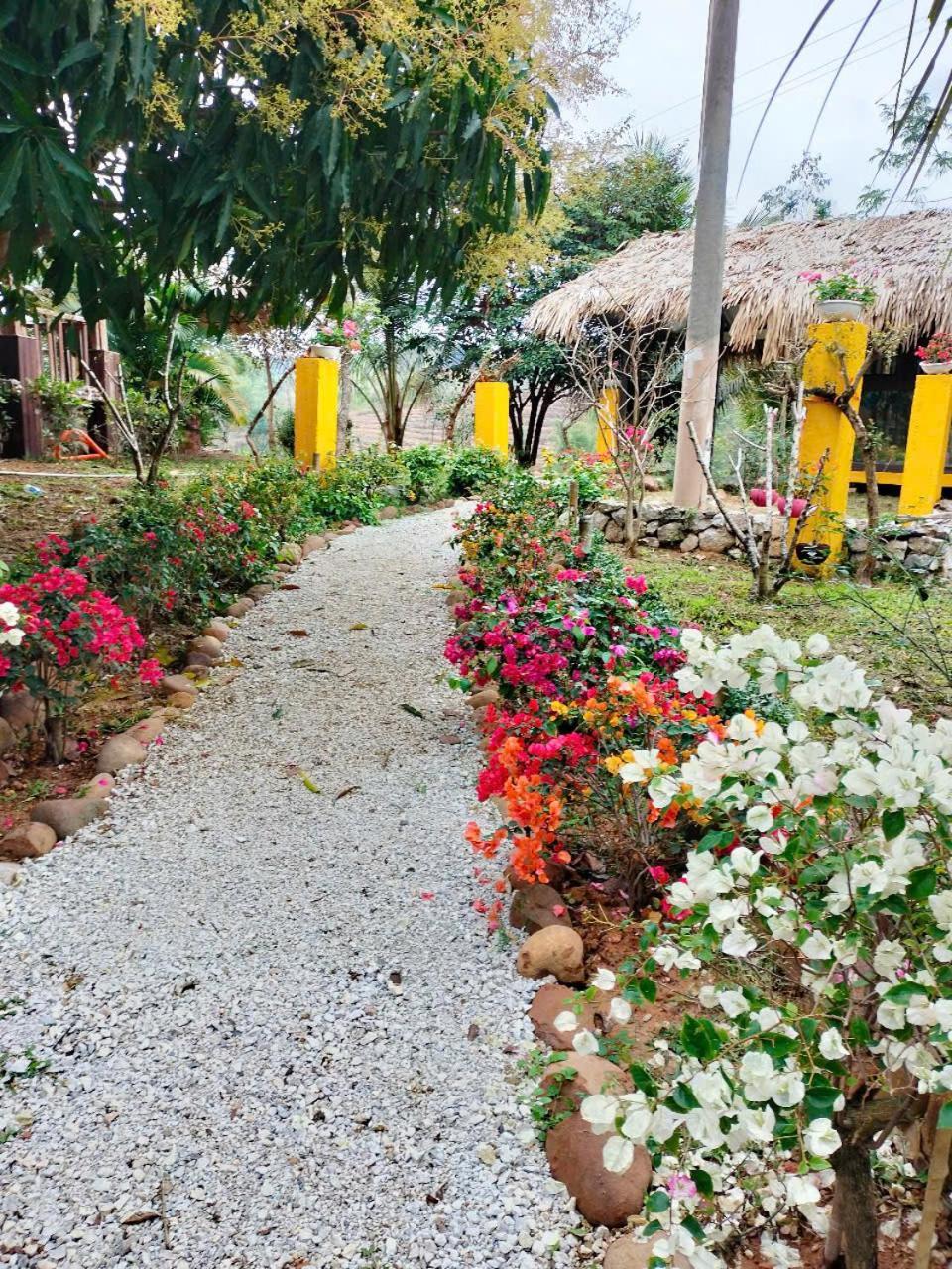 מלון Mai Chau Onsen Retreat מראה חיצוני תמונה