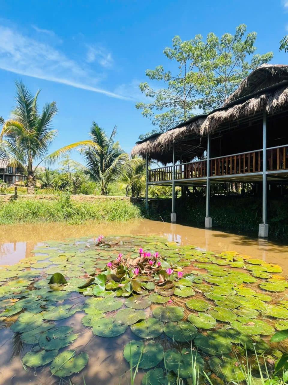 מלון Mai Chau Onsen Retreat מראה חיצוני תמונה